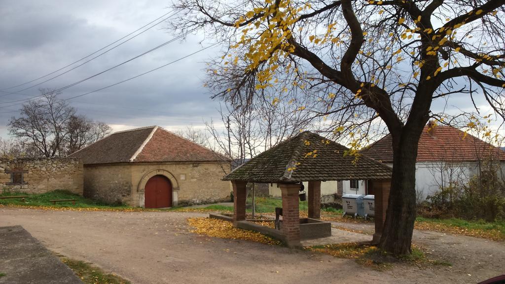 Country House Dunjin Konak Rogljevo Zewnętrze zdjęcie