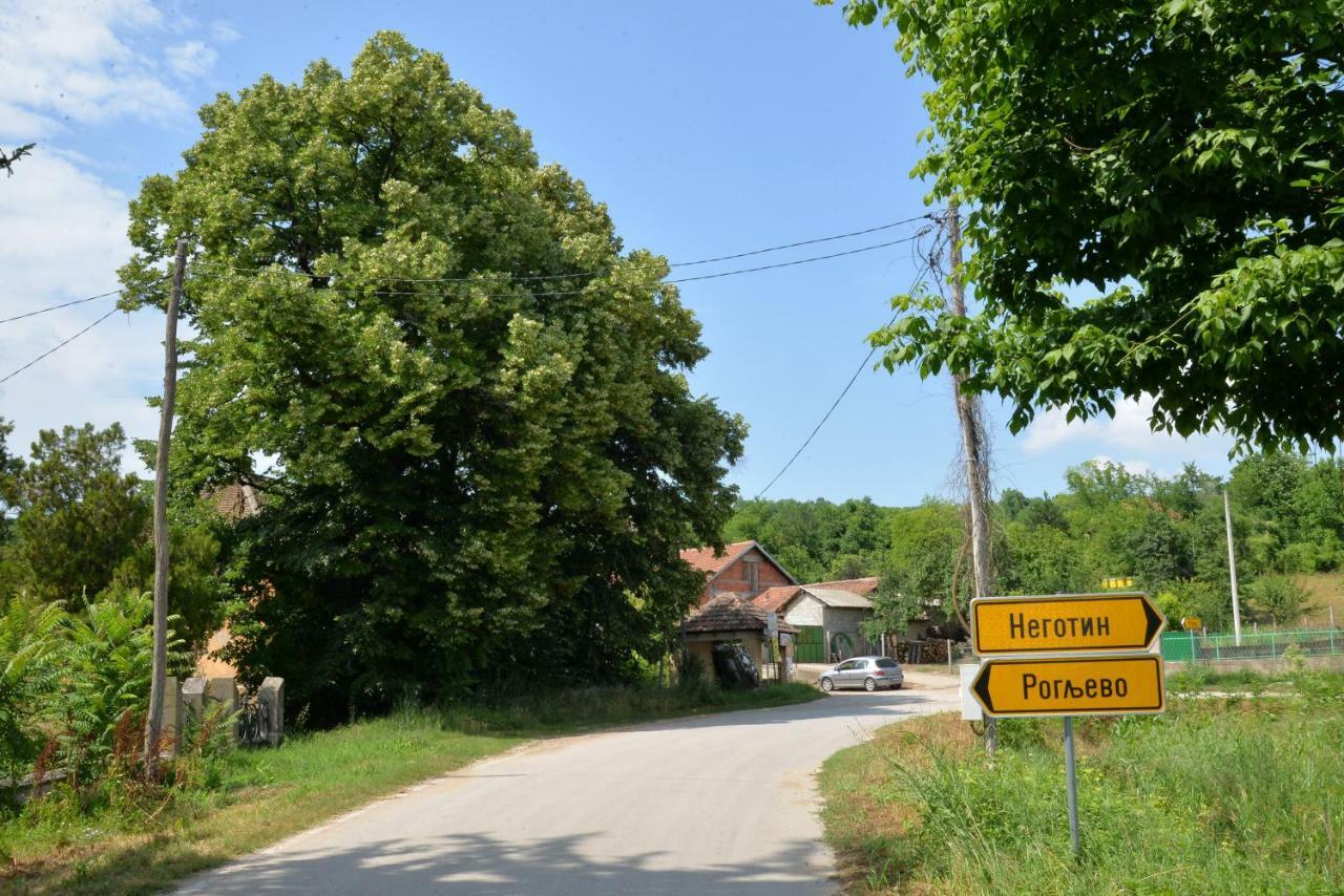 Country House Dunjin Konak Rogljevo Zewnętrze zdjęcie