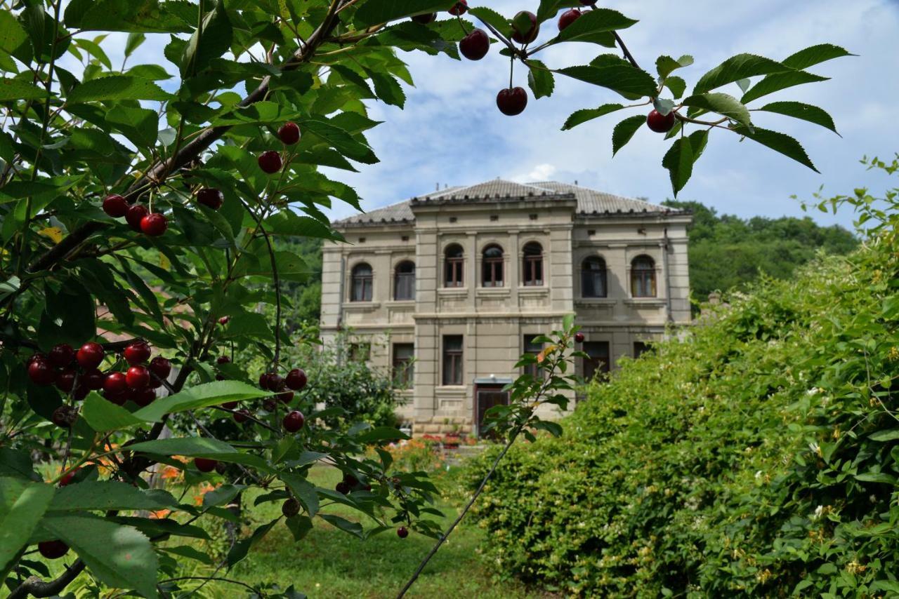 Country House Dunjin Konak Rogljevo Zewnętrze zdjęcie