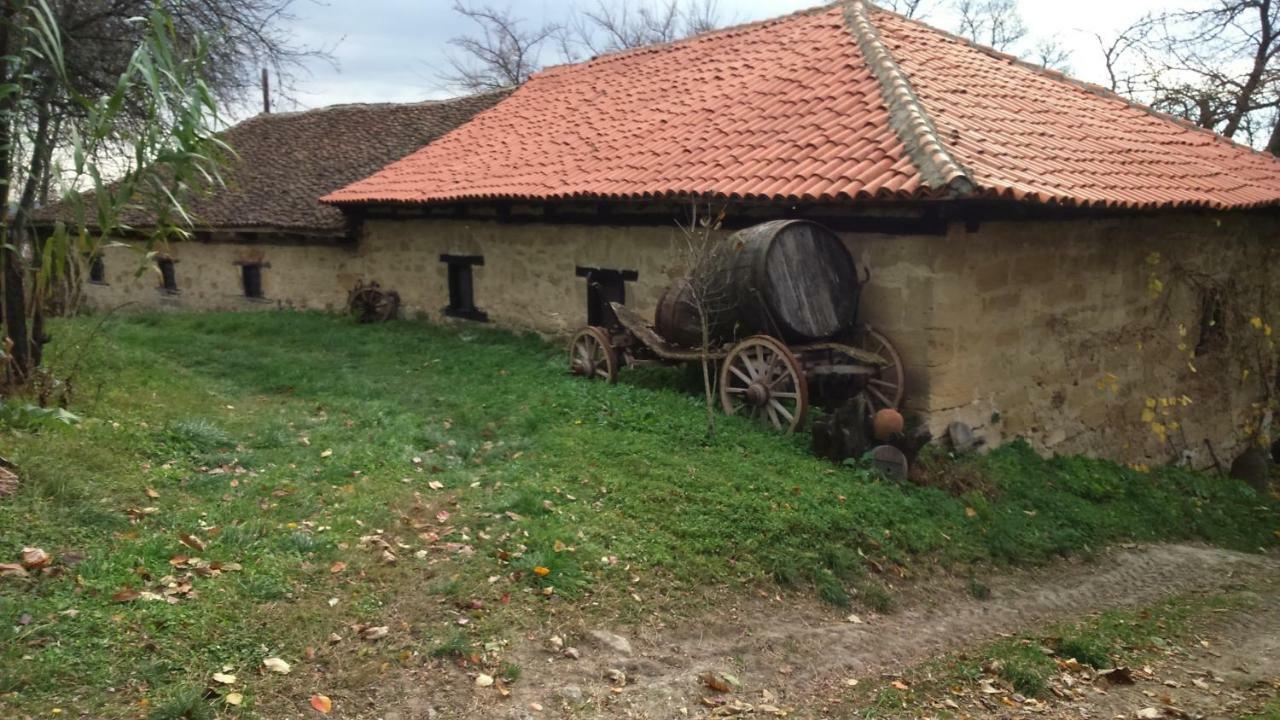 Country House Dunjin Konak Rogljevo Zewnętrze zdjęcie