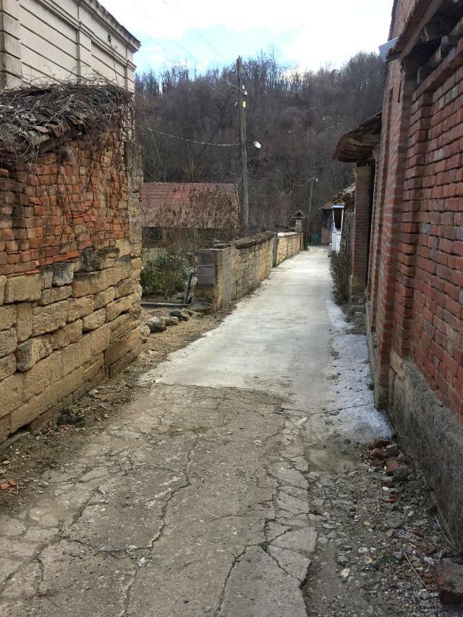 Country House Dunjin Konak Rogljevo Zewnętrze zdjęcie